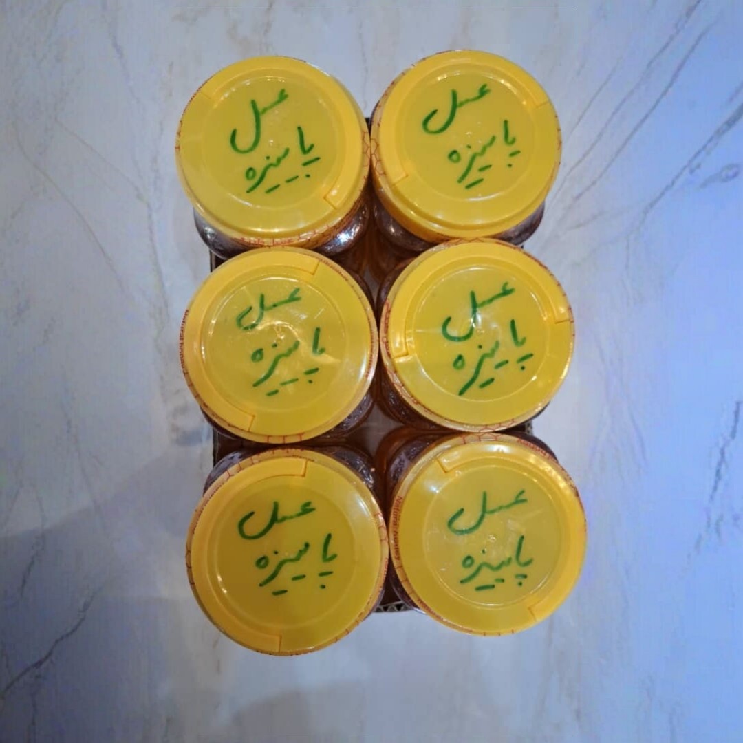 عسل چندگیاه پاییزه پک 6عددی ممتاز فریدن(ارسال رایگان)