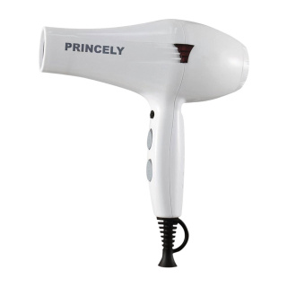 سشوار پرنسلی مدل PR249AT Princely PR249AT Hair Dryer