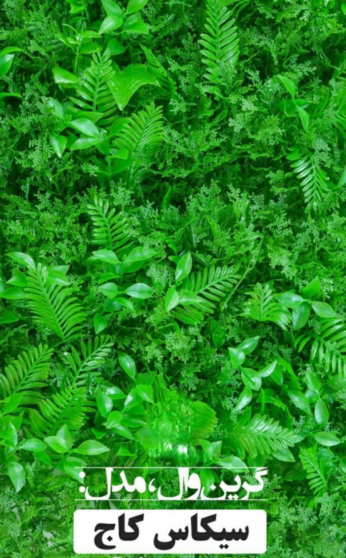 گرین وال مدل سیکاس کاج