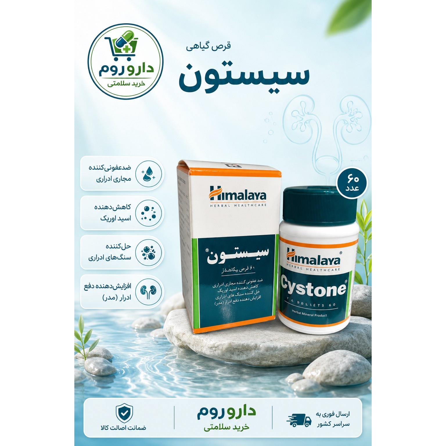 قرص سیستون هیمالیا برای سنگ های ادراری 60 عدد