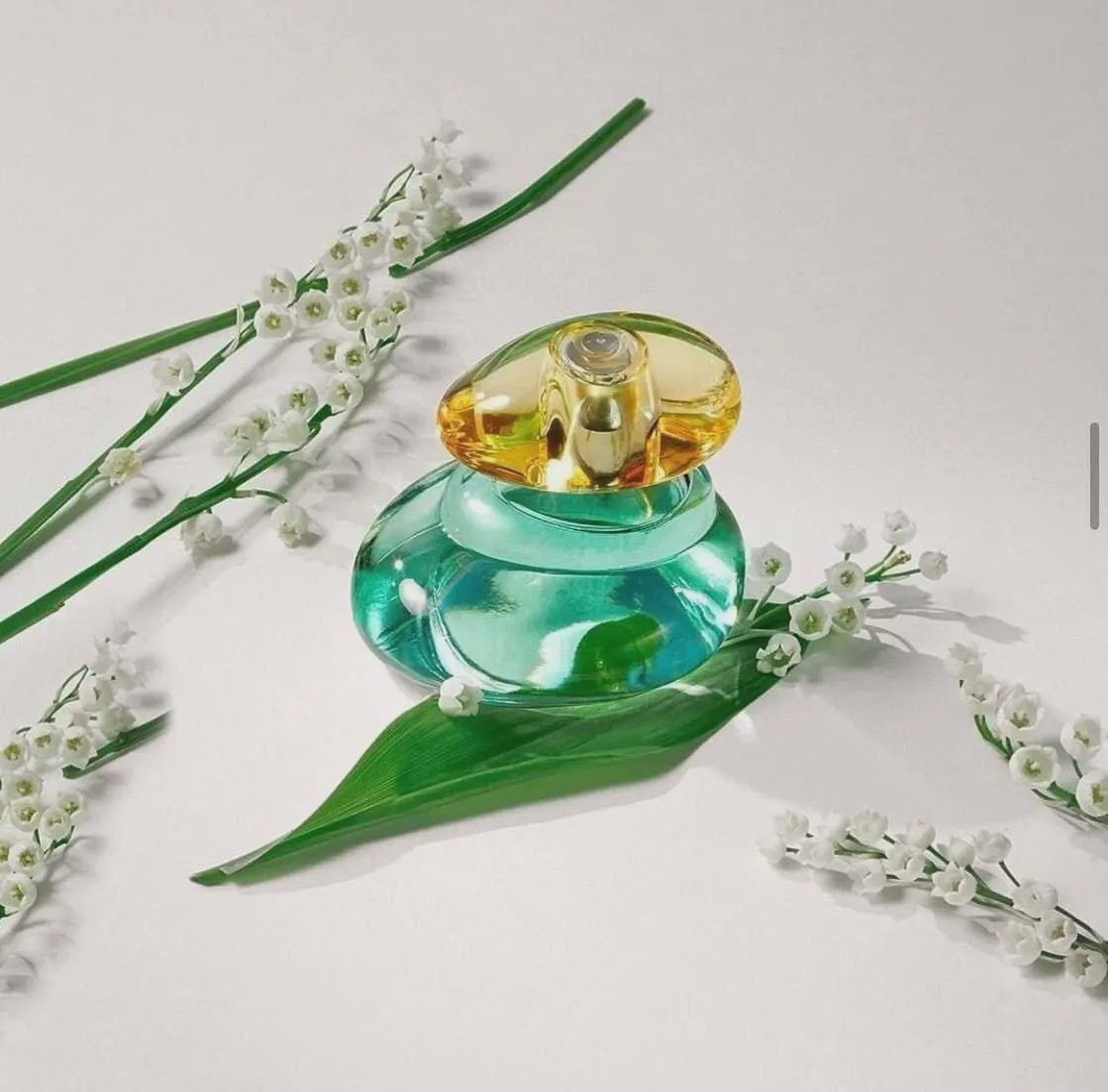 عطر زنانه الوی