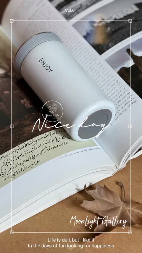 تراولماگ اینجوی