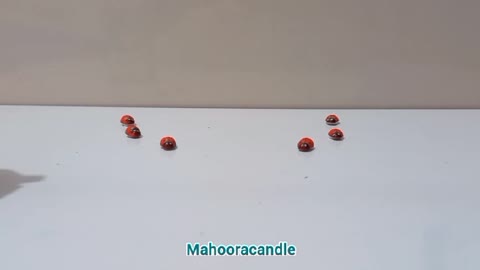 شمع عروسکی کُرومی
