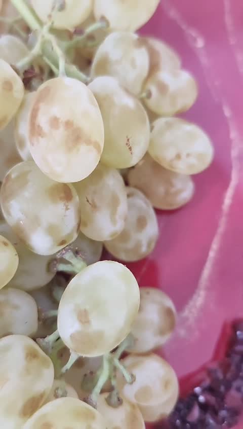 سینی انار رزینی لبه دار