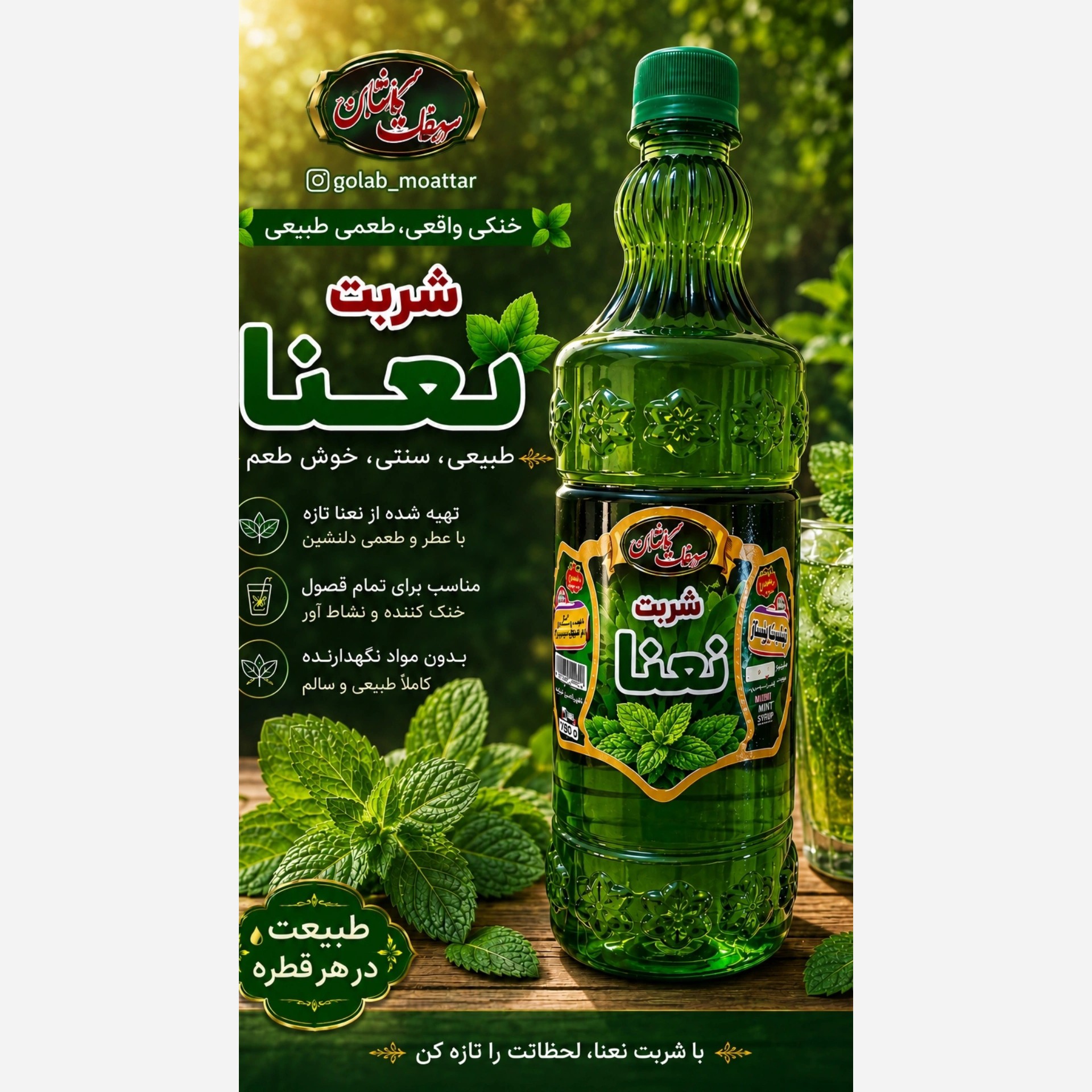 شربت نعنا سنتی ( پس کرایه)