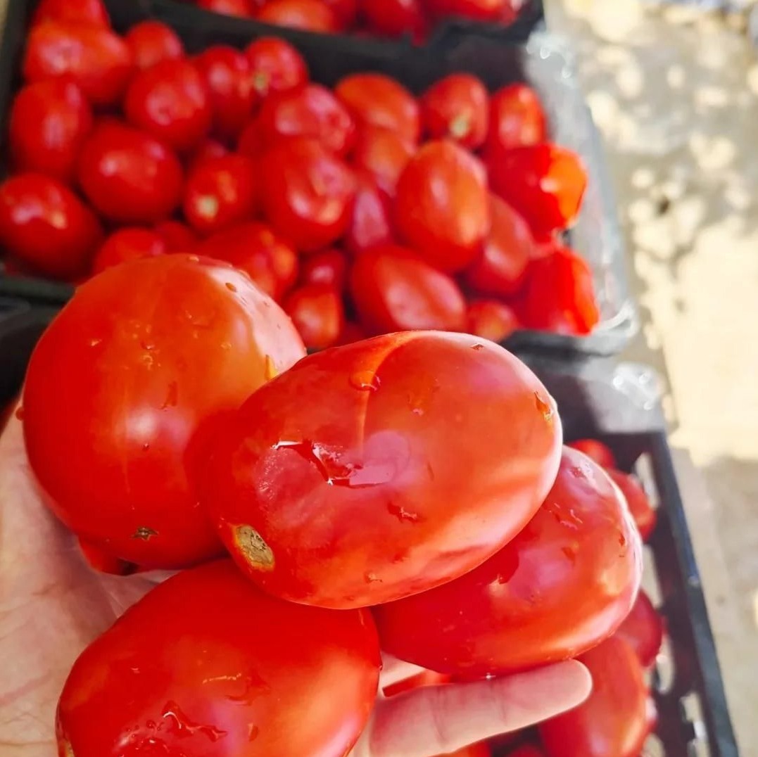 رب گوجه فرنگی خانگی ، بدون مواد نگهدارنده، خوشرنگ و خوش طعم مناسب تمام ذائقه ها
