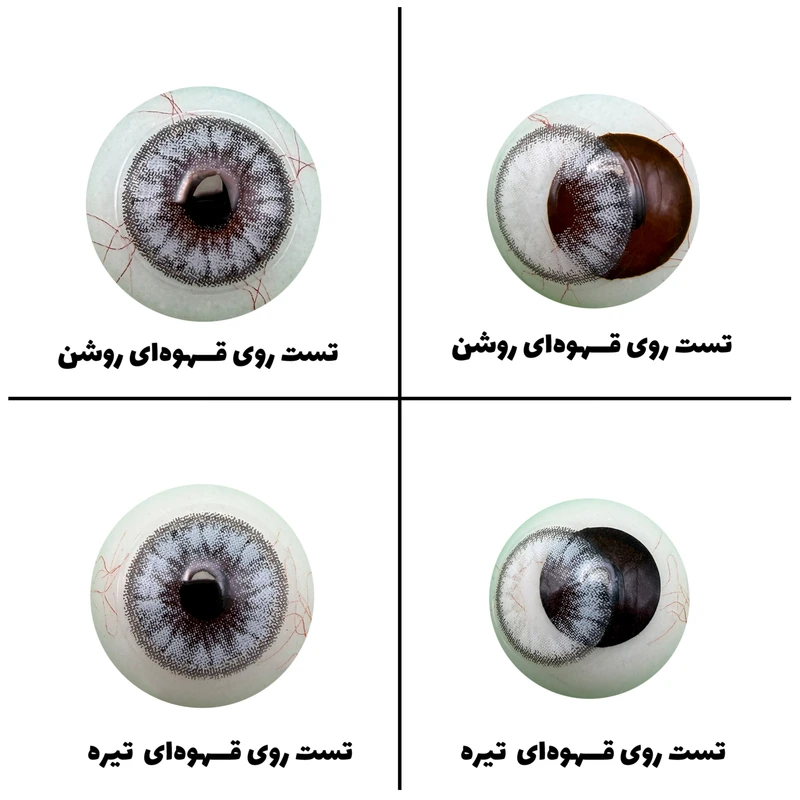 لنز چشم رویال ویژن مدل INNOCENT WHITE کد 06 رنگ طوسی یخی رگه ای دوردار