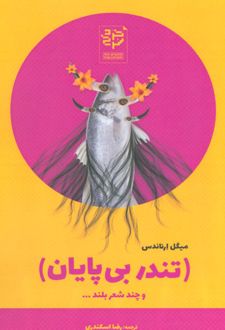 کتاب تندر بی پایان (ناشر: خرد سرخ)
