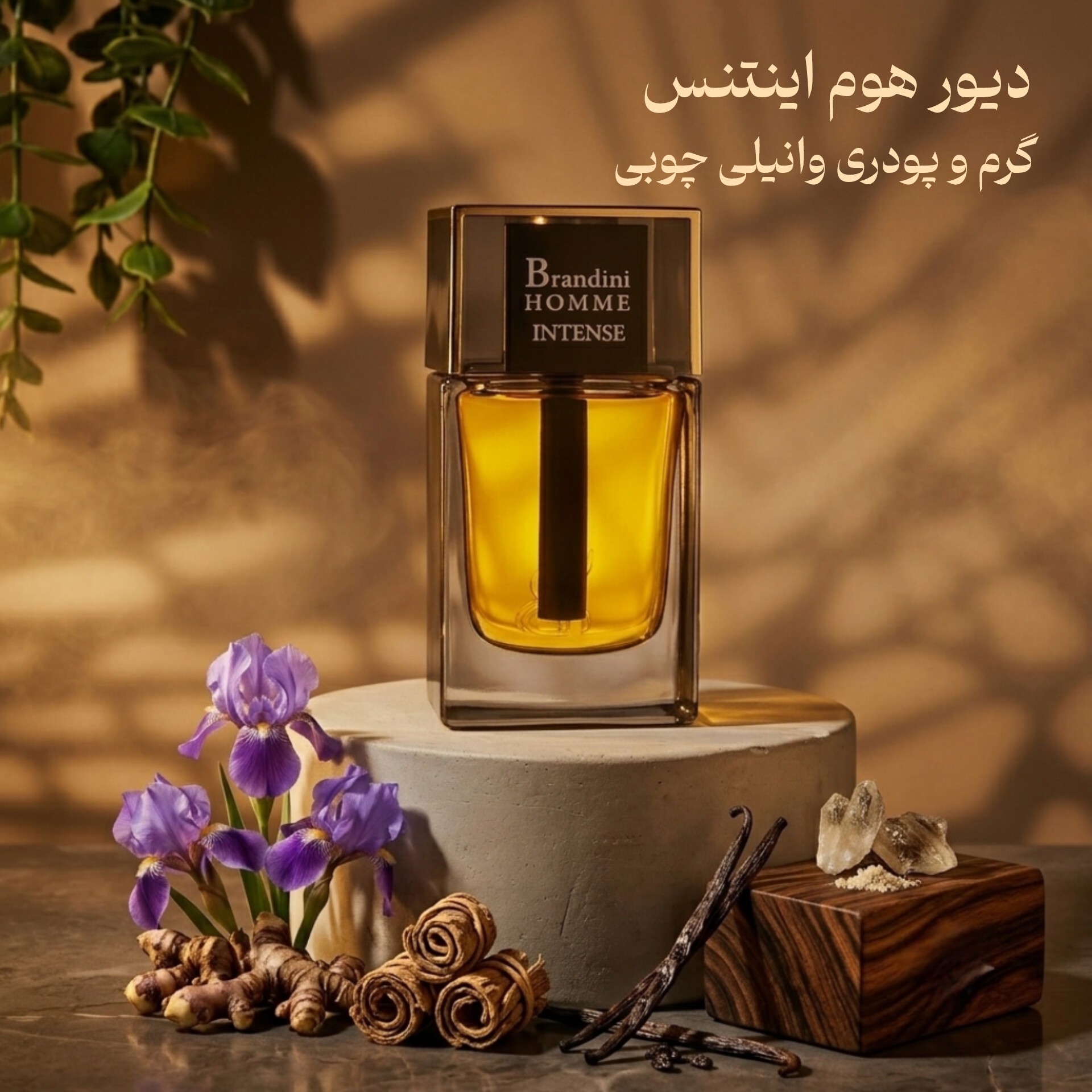 دیور هوم اینتنس 33 میل برندینی