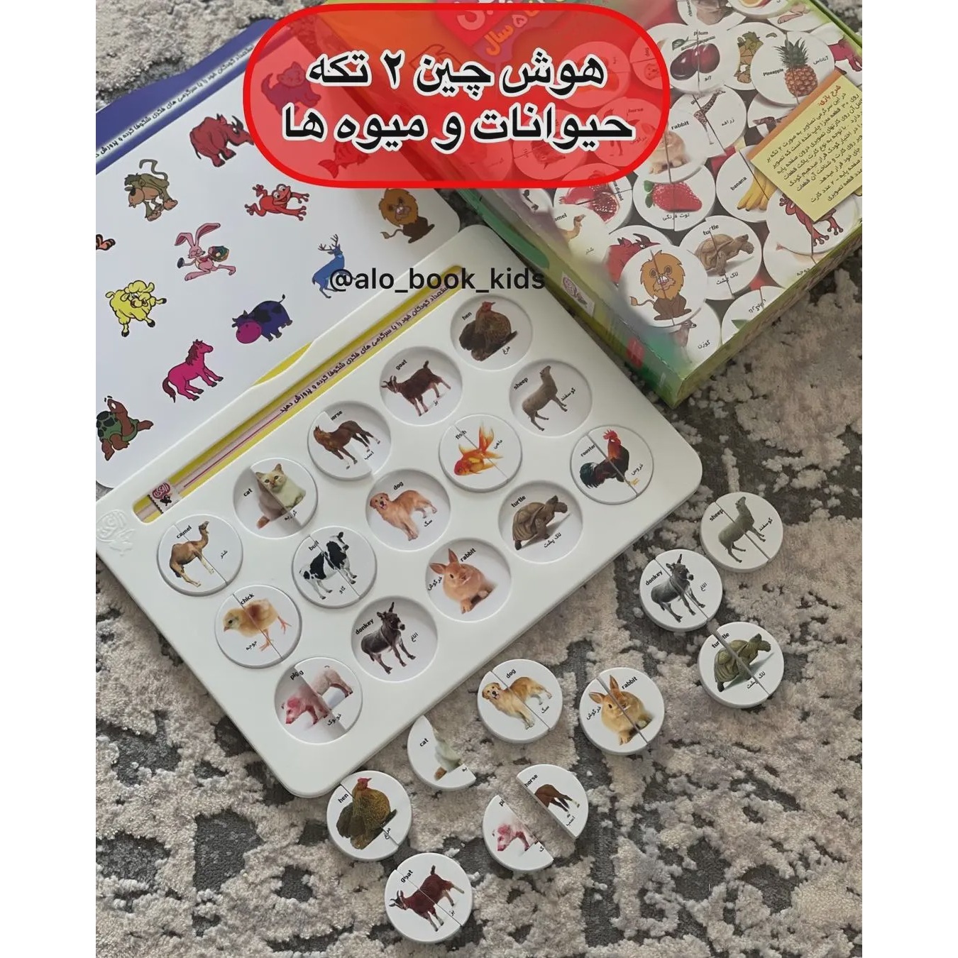 هوش چین 2 تکه