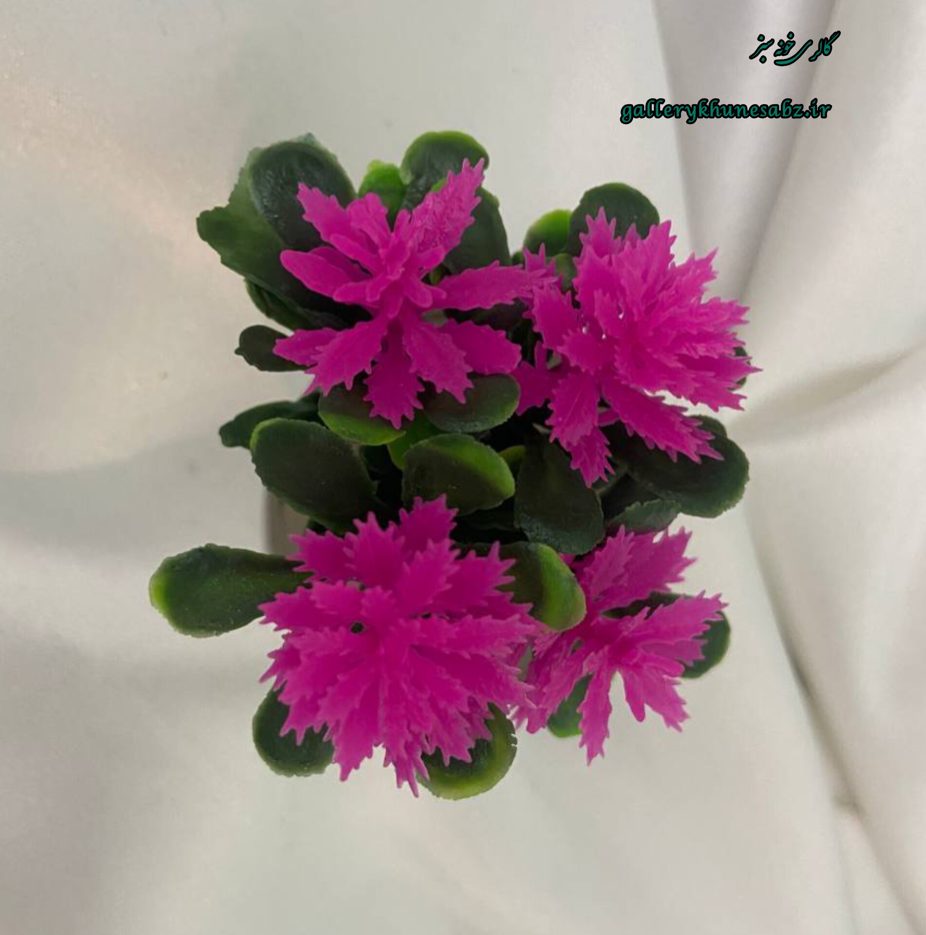 گلدان همراه با گل رنگ صورتی