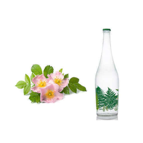 عرق نسترن