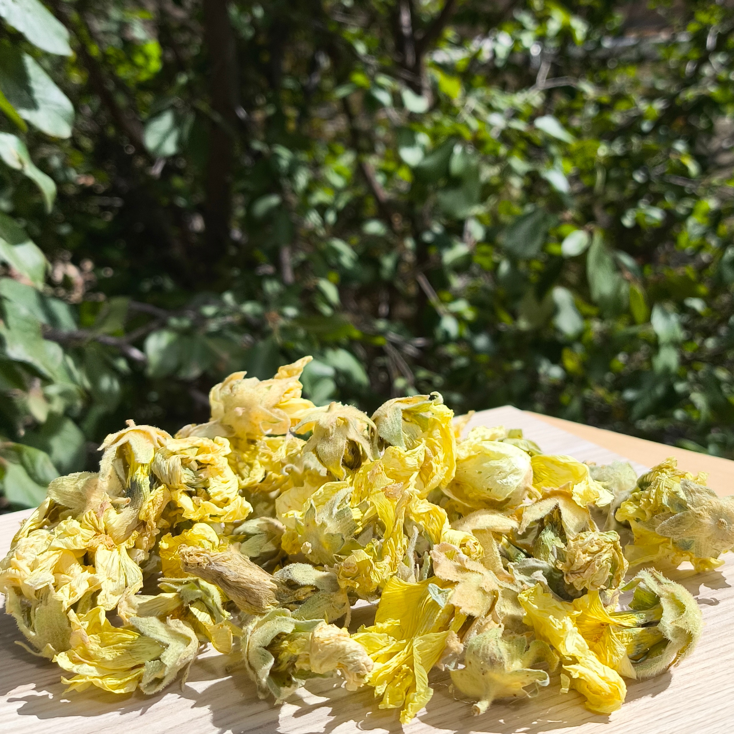 گل ختمی زرد 200 گرمی