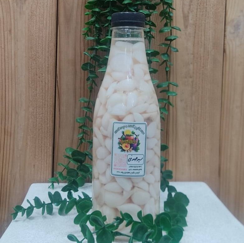 سیر صدفی (پس کرایه)