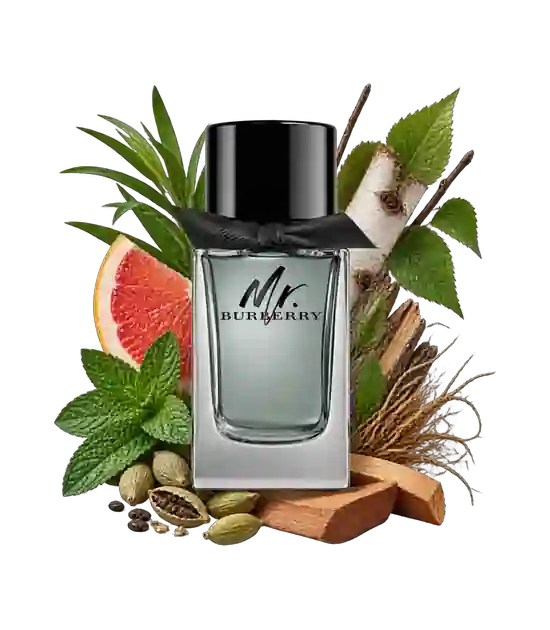 عطر مستر باربری | Burberry Mr. Burberry