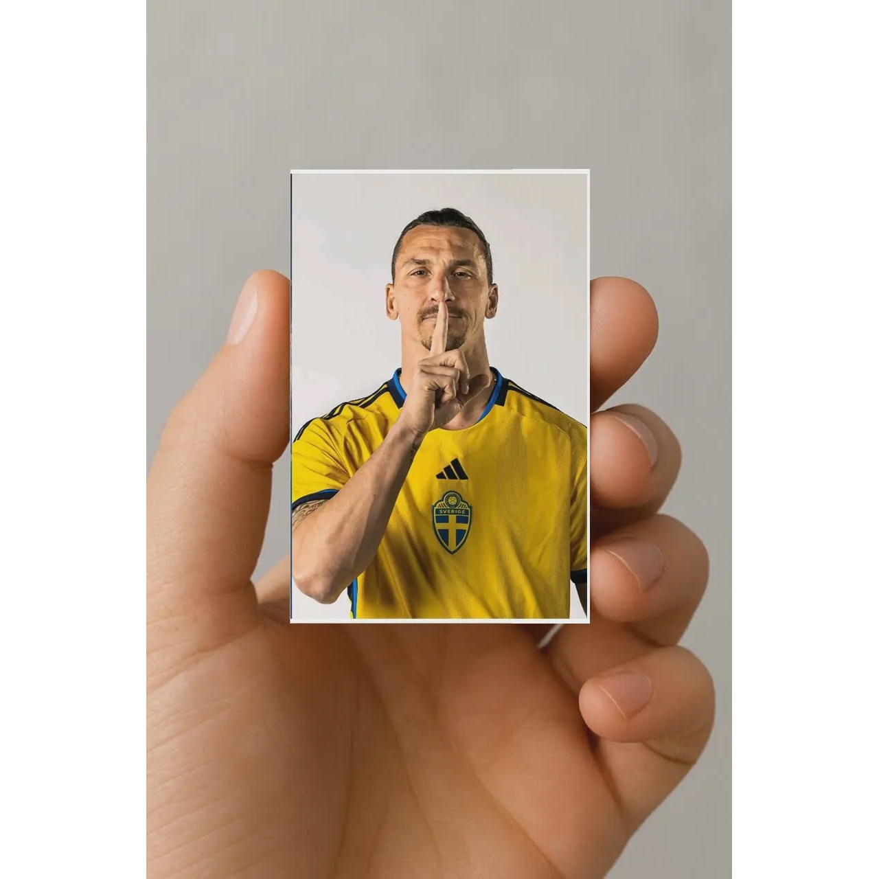 مگنت زلاتان ابراهیموویچ 3