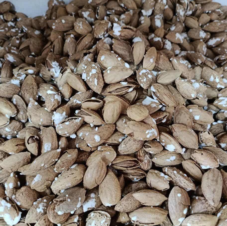 بادام خال نمک پوست کاغذی