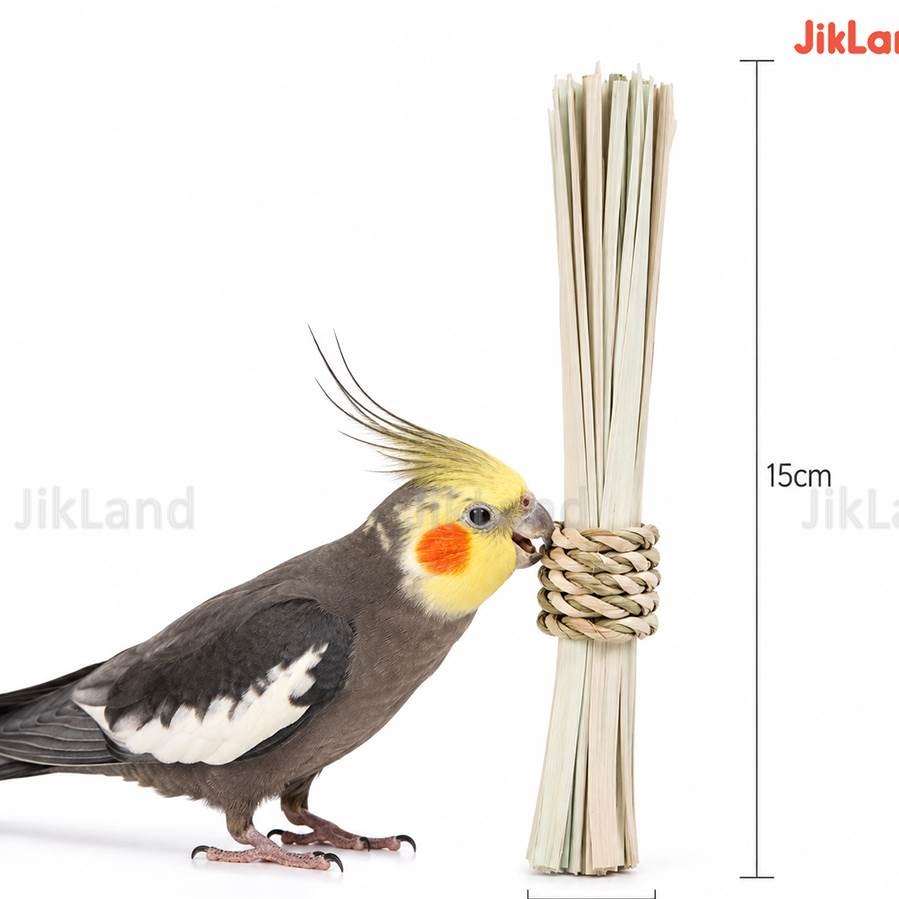 اسباب بازی حصیری عروس هلندی و پرندگان طرح جارو