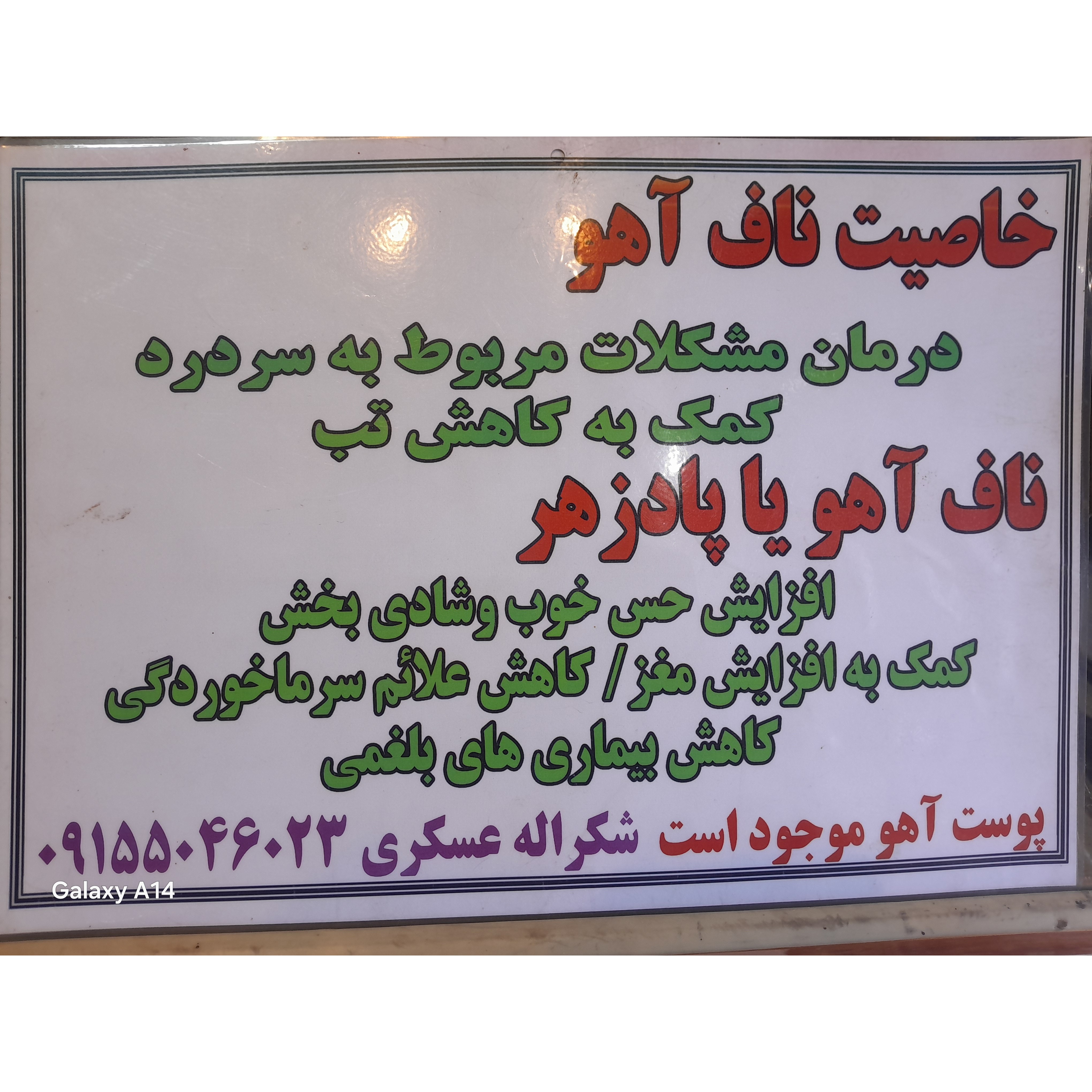 ناف آهو یا همان مشک خوتن
