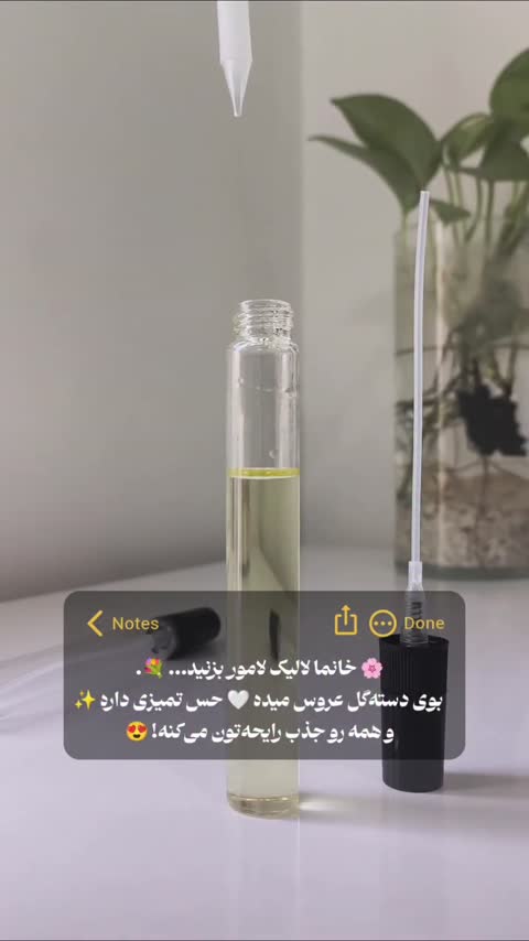 عطر گرمی لالیک لامور پایان (زنانه خنک معتدل)