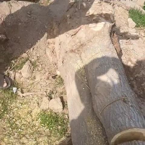 اره موتوری تکنو تیغه 50 سانت، بنزینی، دو زمانه، مدل 5200 (ارسال به صورت پس کرایه)
