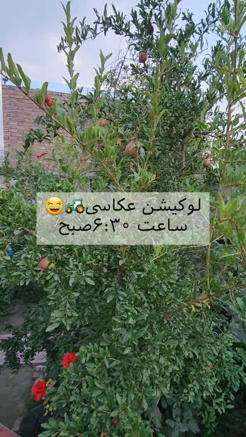 تامبلر(فلاسک) استیل یک لیتری گلگلی
