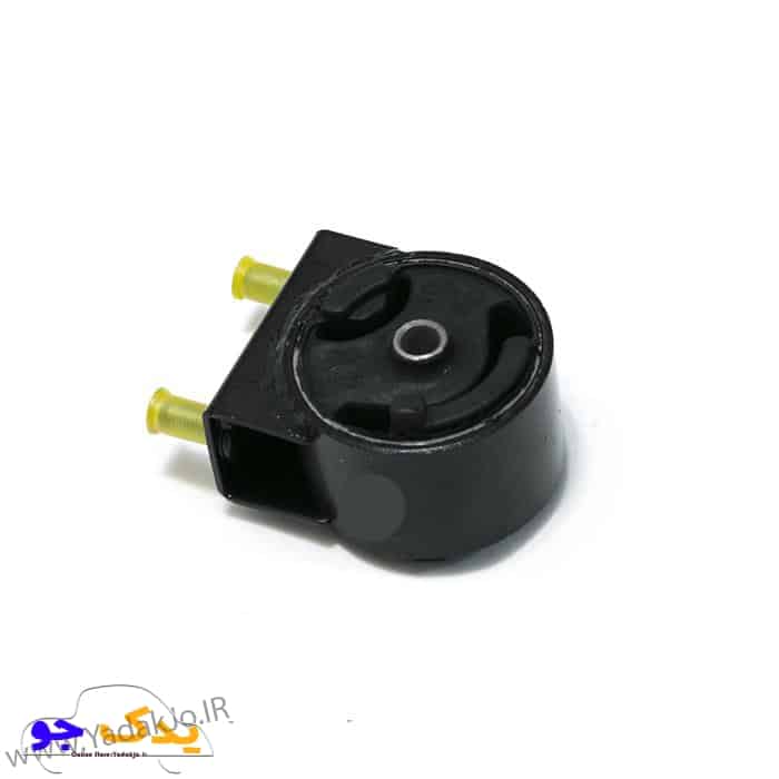 دسته موتور شماره یک تیبا امیرنیا