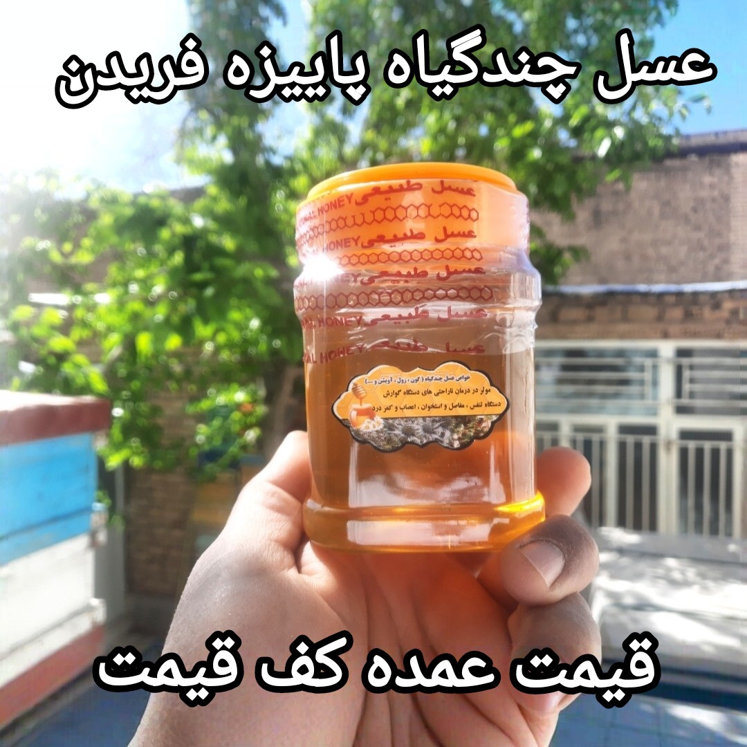 عسل چندگیاه پاییزه نیم کیلویی ممتاز فریدن(ارسال رایگان به شهرستان فریدن)