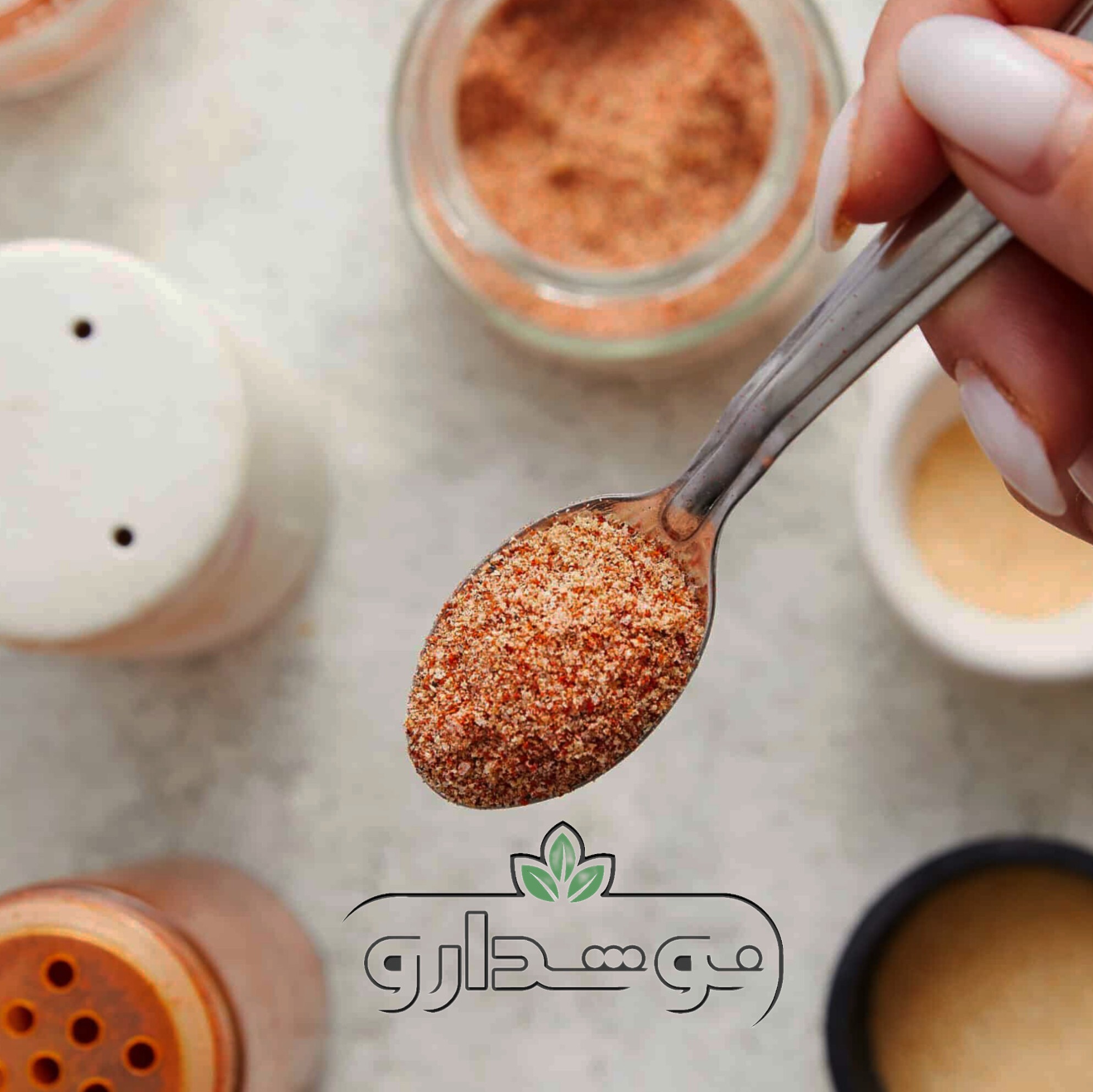 ادویه همبرگر 100 گرمی (پسکرایه)
