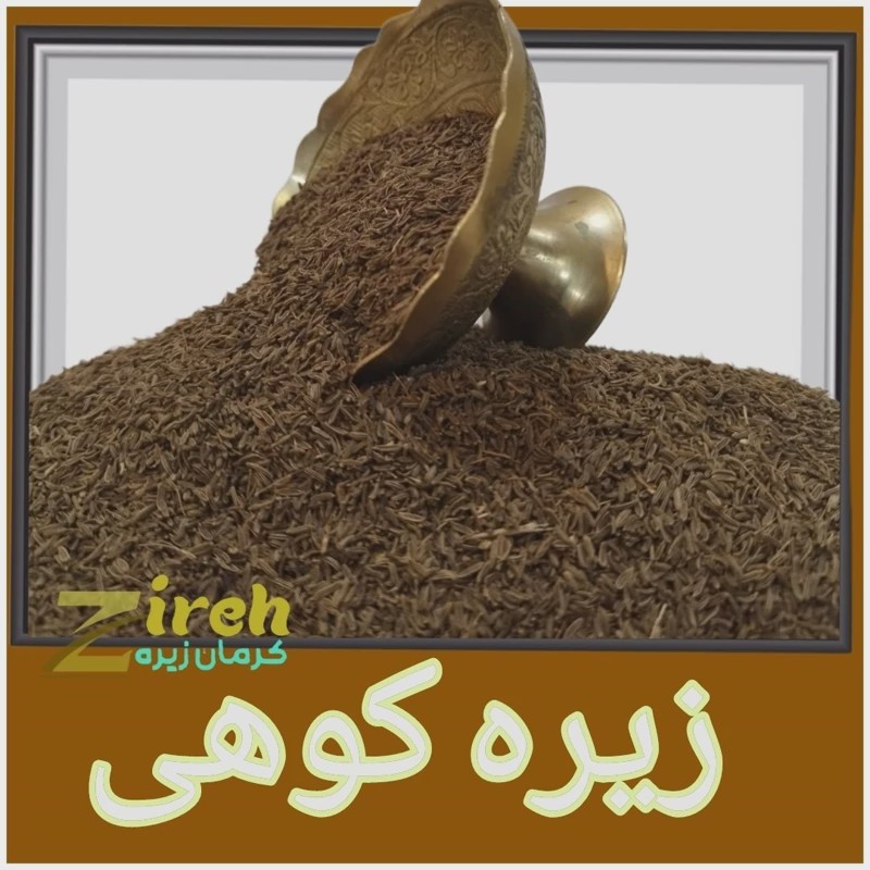 زیره کوهی ارگانیک (سیاه، وحشی) اصیل کرمان معطر بی واسطه