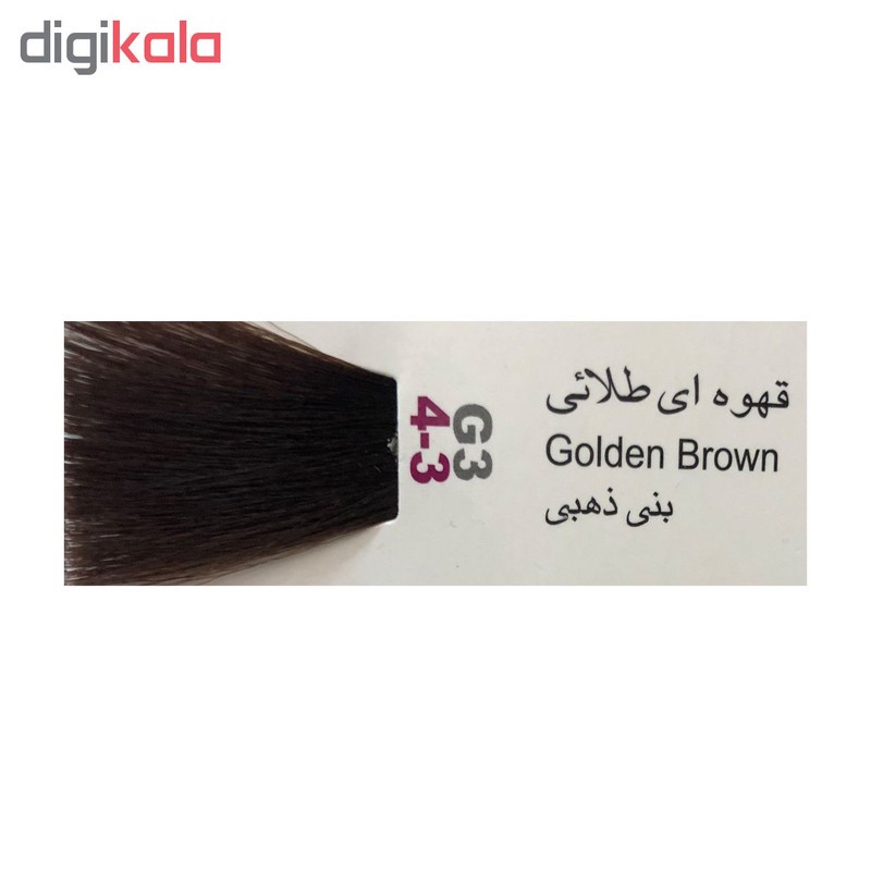 رنگ مو پادینا شماره G3-4-3 حجم 100 میلی لیتر رنگ قهوه ای طلایی