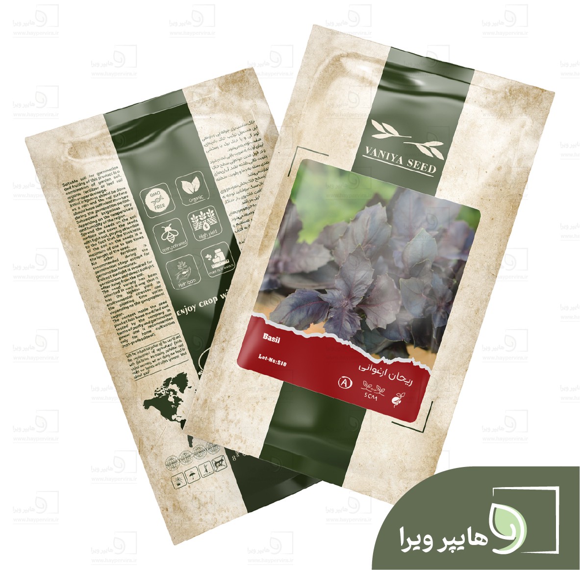 بذر ریحان ارغوانی وانیا سید