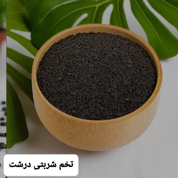 تخم شربتی درشت 100 گرمی