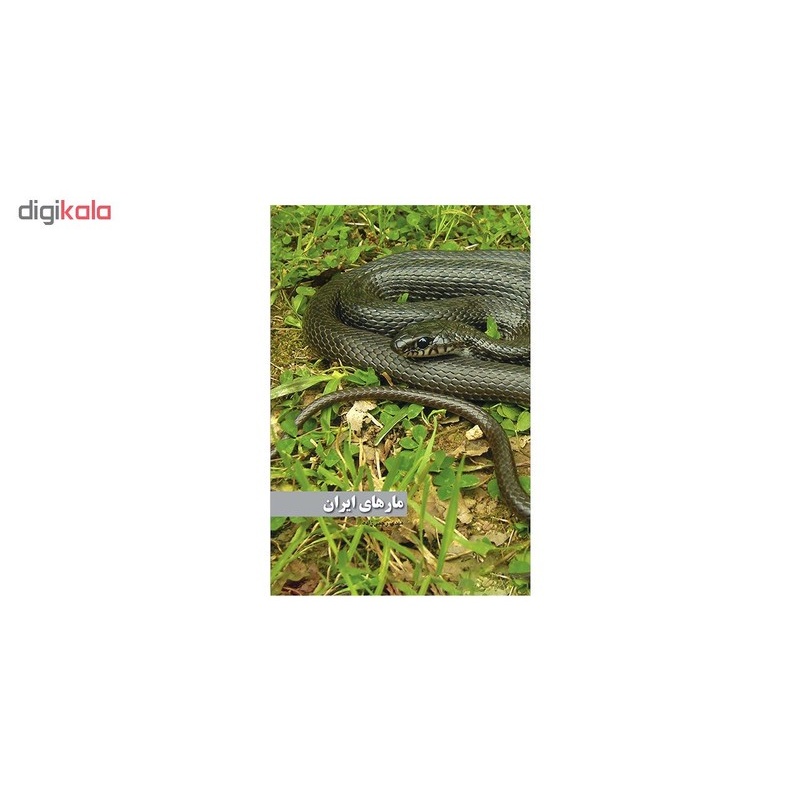 کتاب مارهای ایران اثر مهدی رجبی زاده انتشارات ایرانشناسیمدل 1
