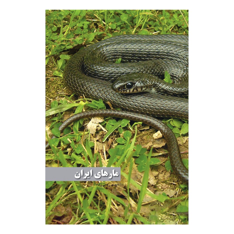کتاب مارهای ایران اثر مهدی رجبی زاده انتشارات ایرانشناسیمدل 1