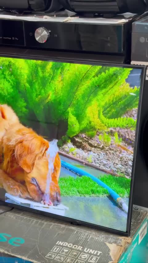 تلویزیون سامسونگ 43f6000f