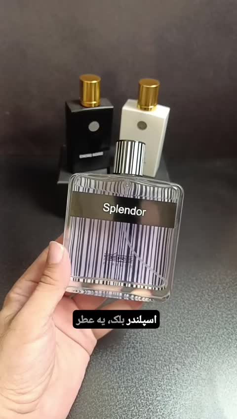 اسپلندر بلک (Splendor Black)