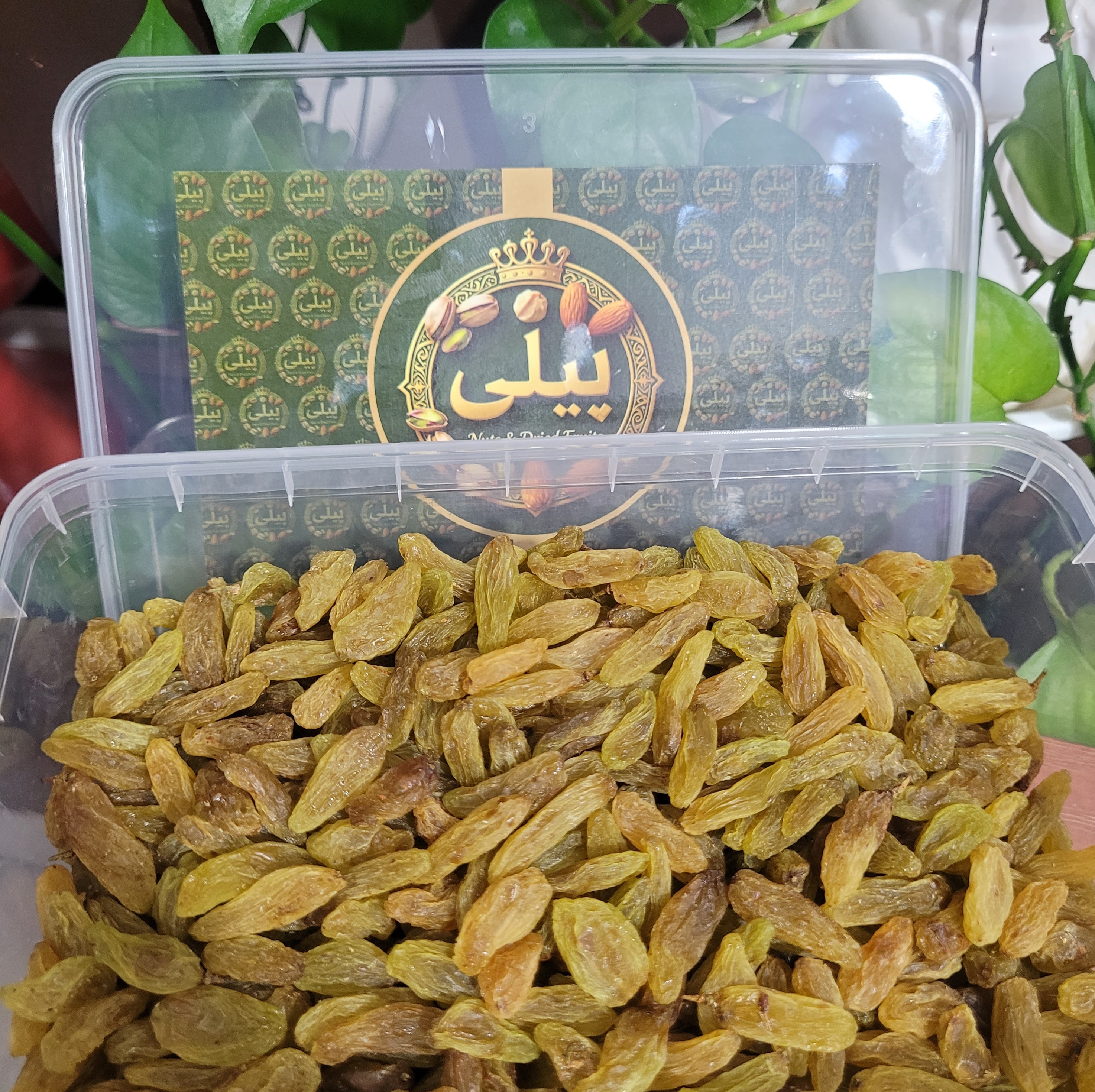 کشمش سبز درجه 1 درشت 