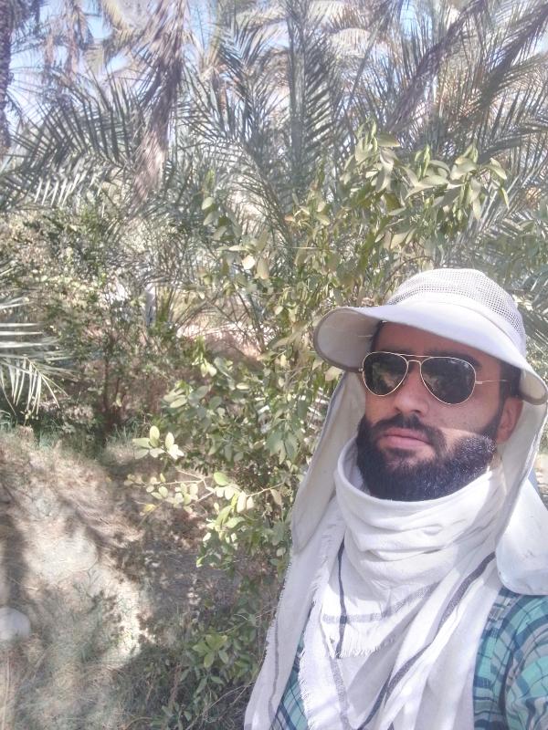 پیمان پراور