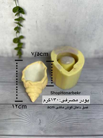 قالب سیلیکونی گوش ماهی2