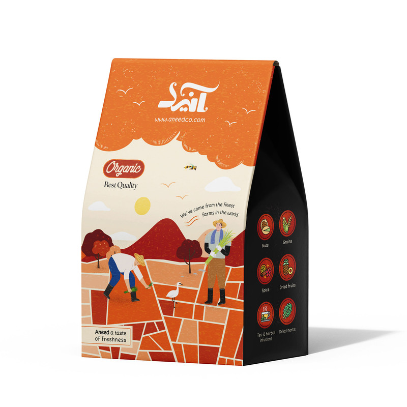 چاشنی آبگوشت و دیزی رویال آنید - 500 گرم