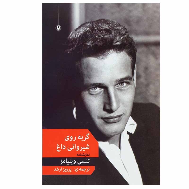 کتاب گربه روی شیروانی داغ اثر تنسی ویلیامز انتشارات مرواریدمدل 1