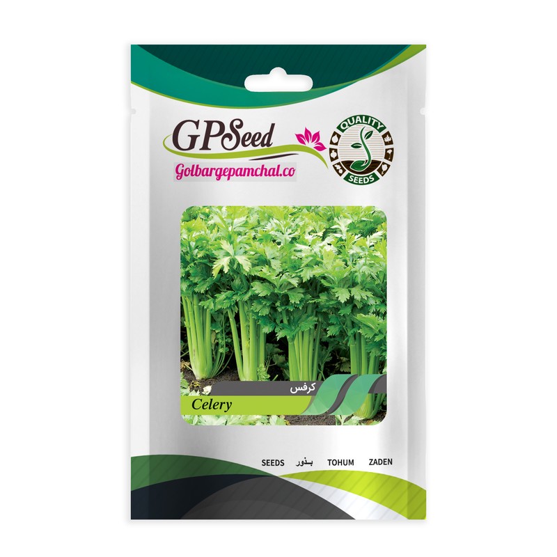بذر کرفس گلبرگ پامچال کد GPF-157