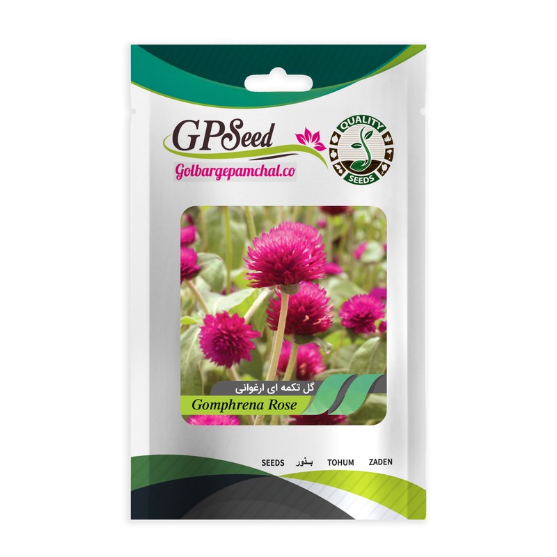 بذر گل تکمه ای ارغوانی گلبرگ پامچال کد GPF-263