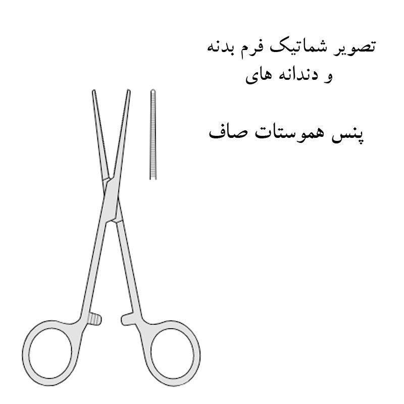 پنس جراحی مدل SNAH16L