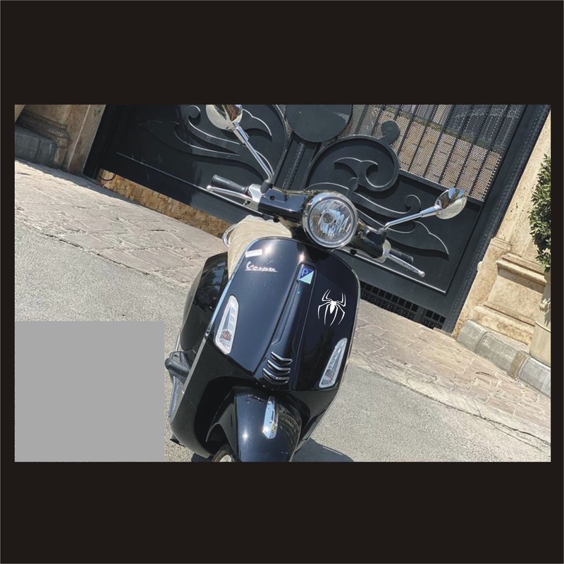 برچسب بدنه موتورسیکلت لیزارد مدل فانتزی طرح spider2 کد LZD-801