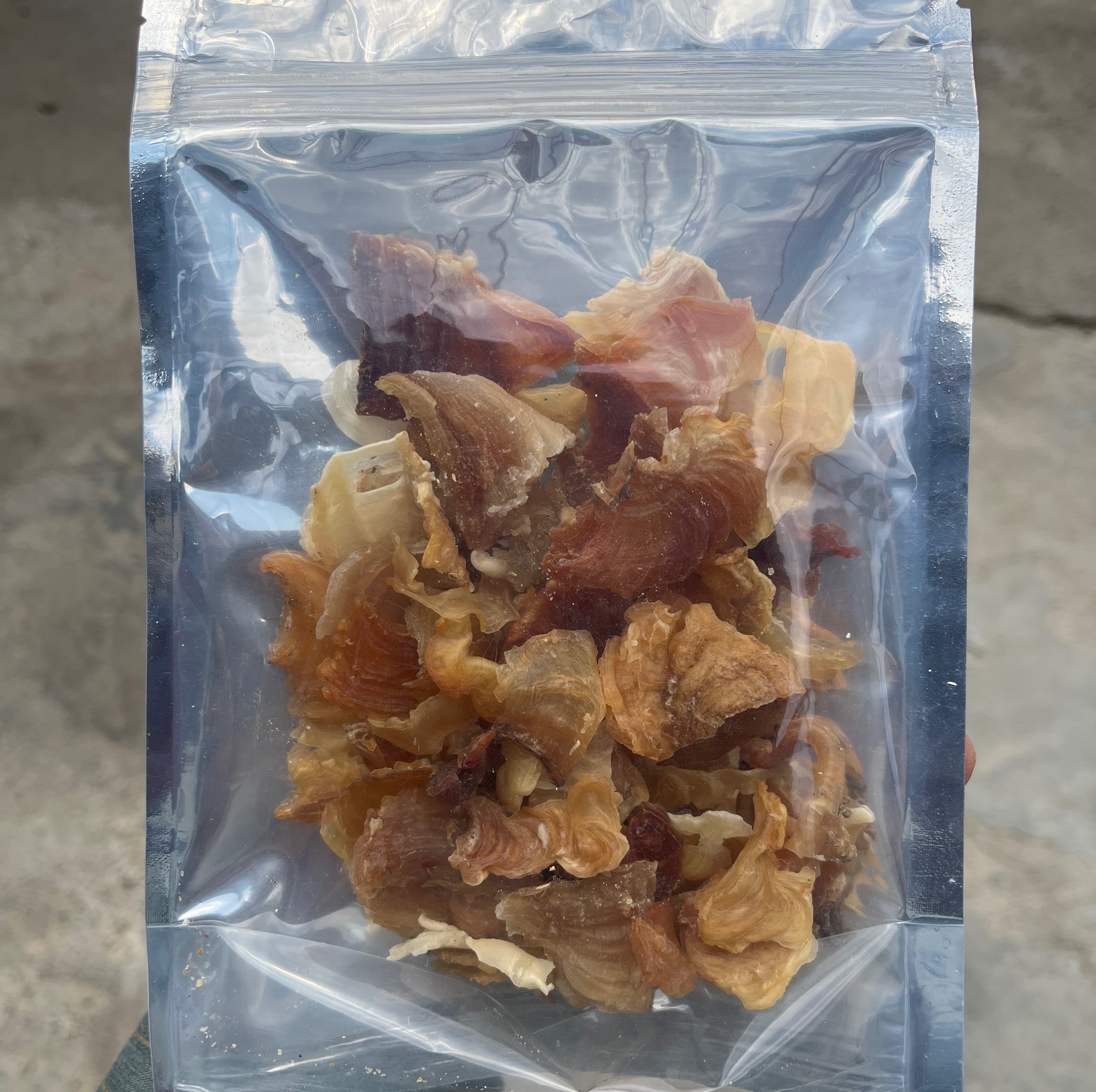کتیرا کارگ