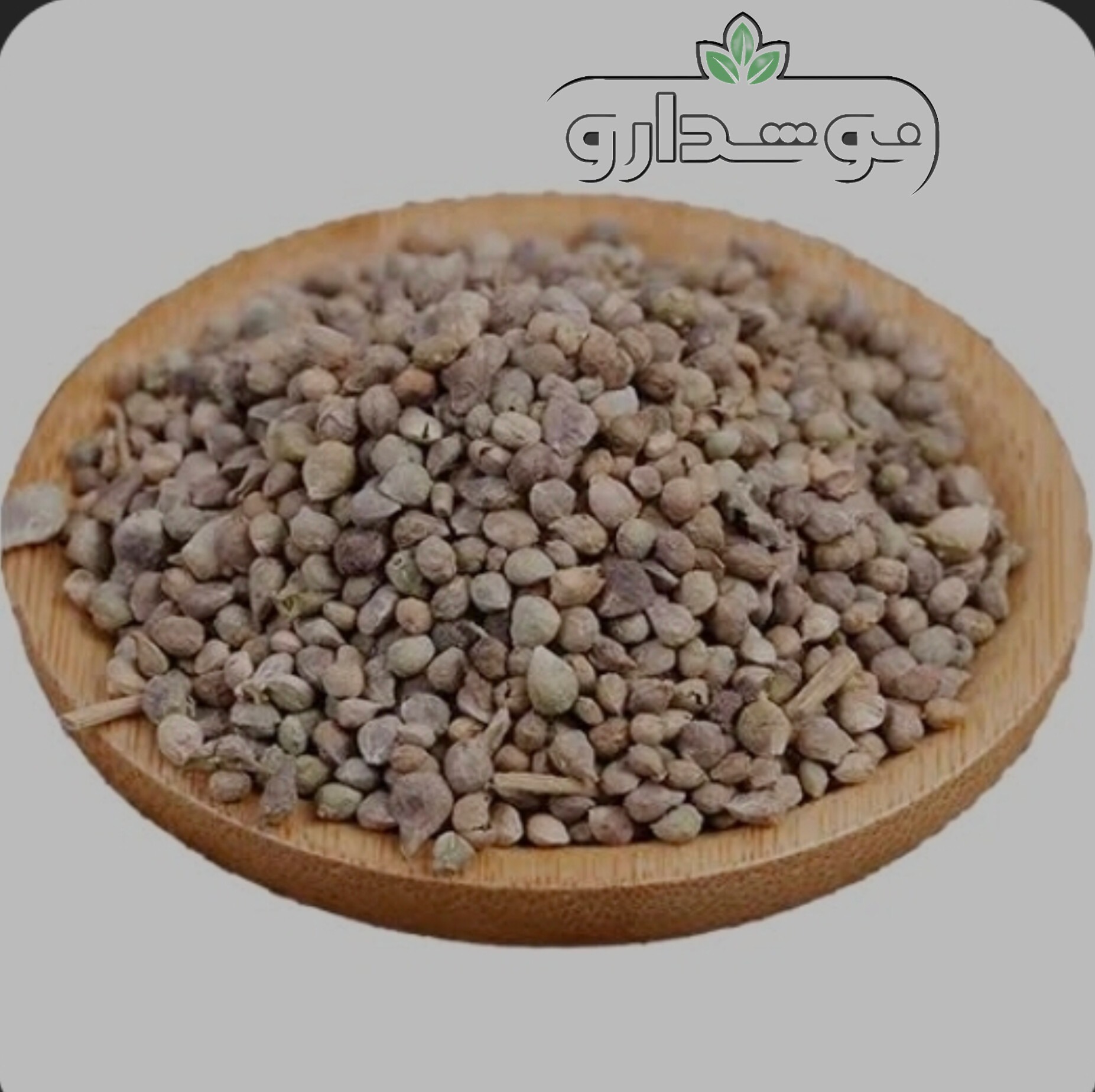 تخم اسفناج (بذر اسفناج) 10 کیلویی (ارسال رایگان)