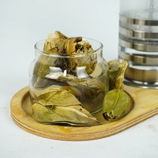 گل نیلوفر