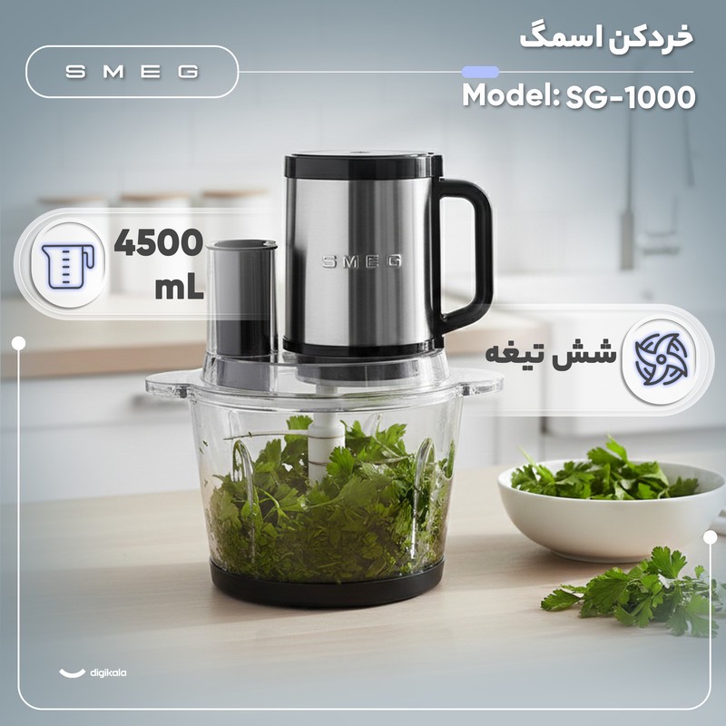 خردکن 4500 میلی لیتر اسمگ مدل SG-1000